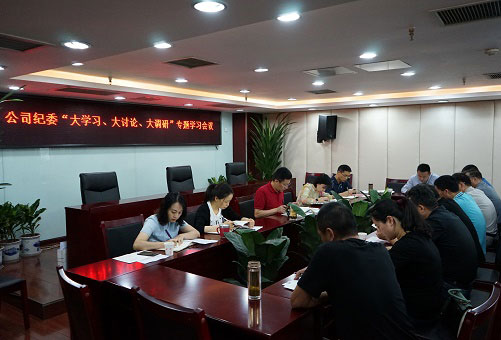 以“大學(xué)習(xí)、大討論、大調(diào)研”為動(dòng)力推動(dòng)公司紀(jì)檢監(jiān)察工作扎實(shí)開展