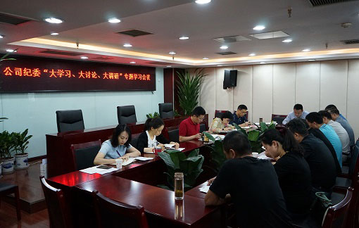 以“大學(xué)習(xí)、大討論、大調(diào)研”為動力推動公司紀檢監(jiān)察工作扎實開展