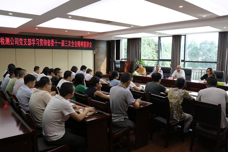 公司檢測(cè)公司黨支部召開(kāi)學(xué)習(xí)貫徹省委十一屆三次全會(huì)精神宣講會(huì)