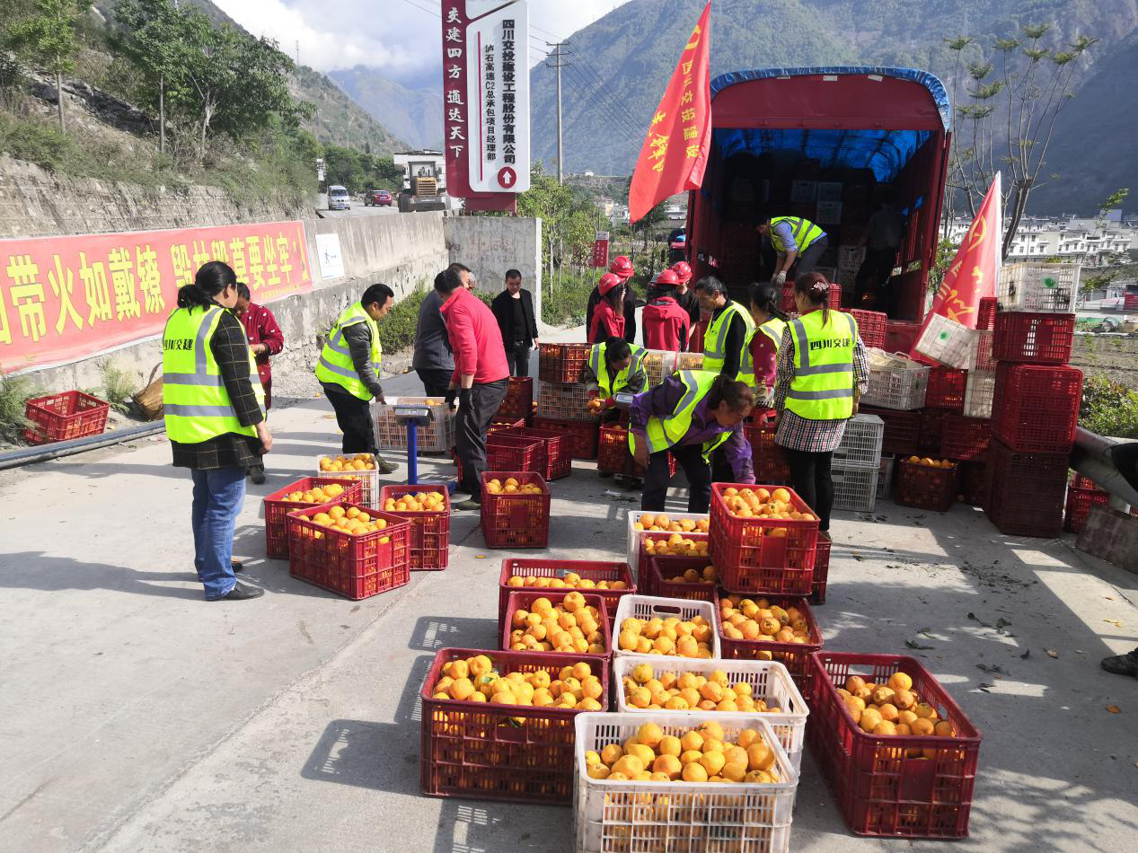 學(xué)黨史、做實事、見成效 ——瀘石TJ5項目黨支部助力果農(nóng)銷售