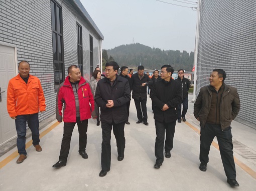 集團公司黨委副書記鄒蔚赴公司路面分公司承建成資渝高速TJ6項目調(diào)研指導(dǎo)工作